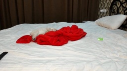 Brandiloveee  09-02-2021
